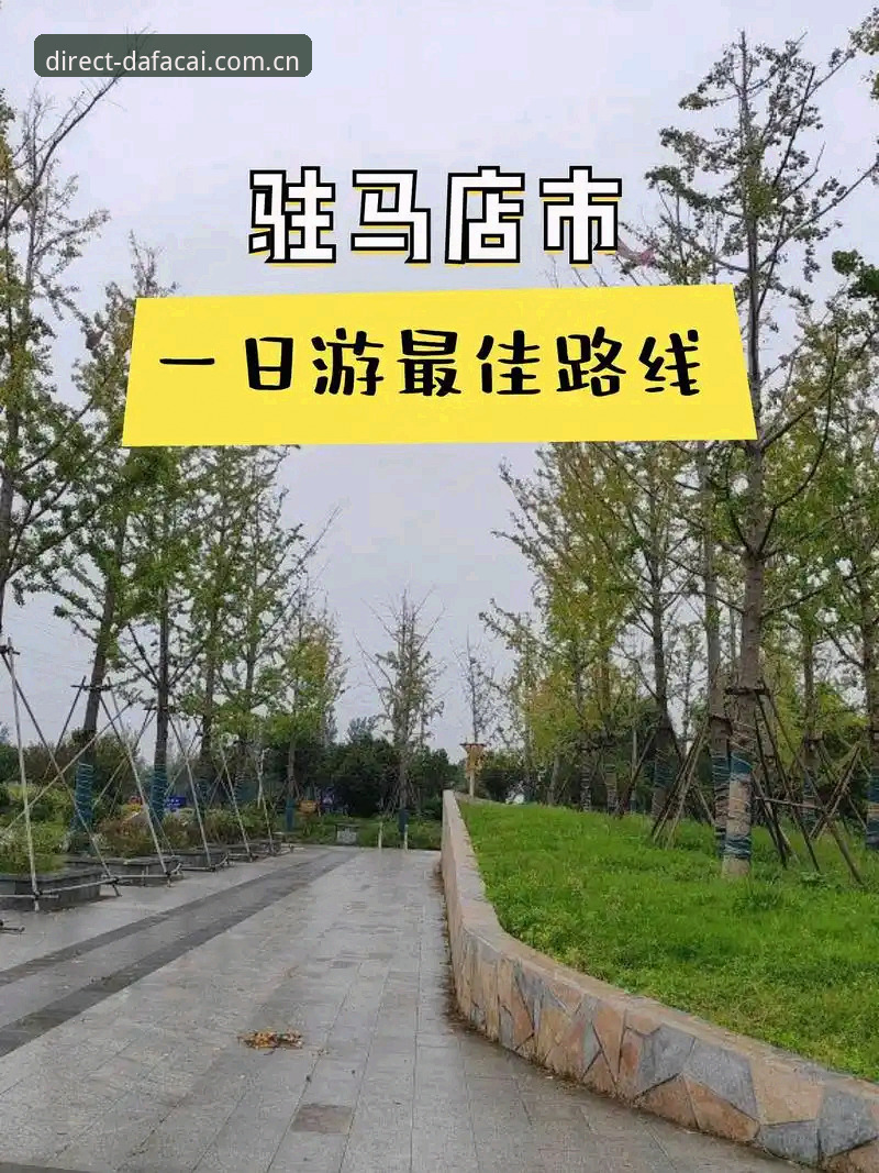 下午三点，四惠东地铁站口的报亭边，王强把手机从充电宝上拔下来，屏幕亮起一瞬，一个推送跳出来：你关注的联赛已经开赛。他点进去，比分页在毫秒内刷新，球队的每一次传导都变成数字跳动。他的手指在屏幕上悬停了一下——两秒后，他扫码进了一个页面，领了新版本的安装包。那个动作干脆得像老练的记者翻采访本，没有一丝犹豫。